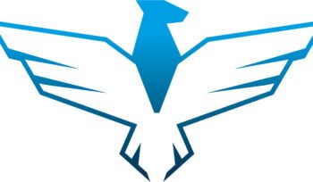 Soaring to New Heights: 7 Success Principles of An Eagle on August 11, 2024