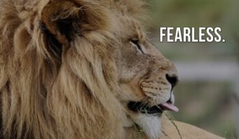 Global Traders Guide: Global Elite Alpha Portfolio (GEAP)